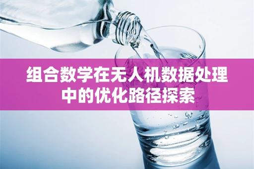 组合数学在无人机数据处理中的优化路径探索