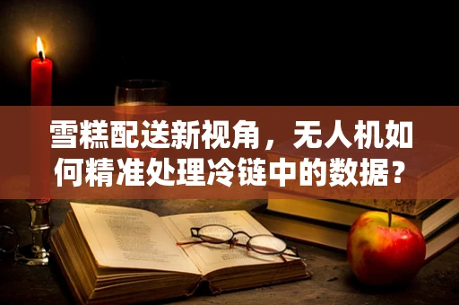 雪糕配送新视角，无人机如何精准处理冷链中的数据？