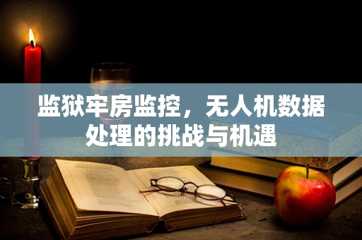 监狱牢房监控，无人机数据处理的挑战与机遇
