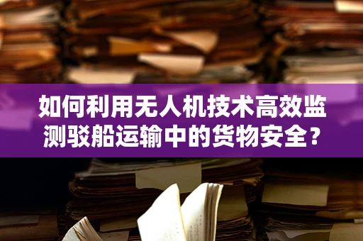 如何利用无人机技术高效监测驳船运输中的货物安全？