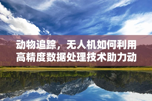 动物追踪，无人机如何利用高精度数据处理技术助力动物生物学研究？