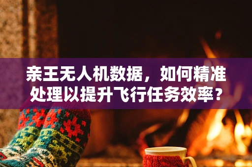 亲王无人机数据，如何精准处理以提升飞行任务效率？