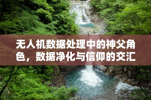 无人机数据处理中的神父角色，数据净化与信仰的交汇