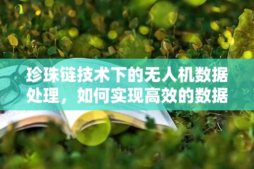珍珠链技术下的无人机数据处理，如何实现高效的数据追踪与整合？