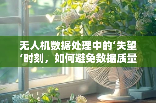 无人机数据处理中的‘失望’时刻，如何避免数据质量低谷？