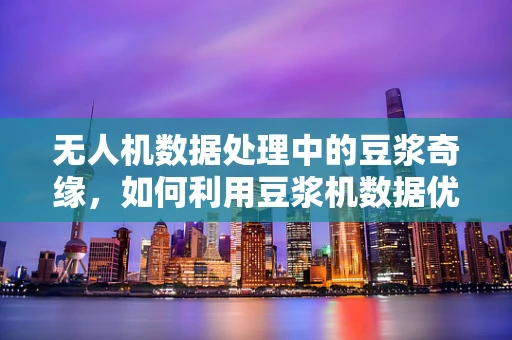 无人机数据处理中的豆浆奇缘，如何利用豆浆机数据优化飞行路径？