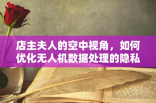 店主夫人的空中视角，如何优化无人机数据处理的隐私保护？