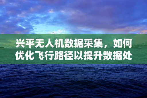 兴平无人机数据采集，如何优化飞行路径以提升数据处理效率？