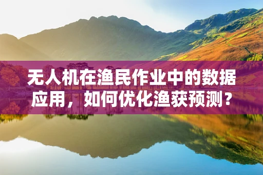 无人机在渔民作业中的数据应用，如何优化渔获预测？