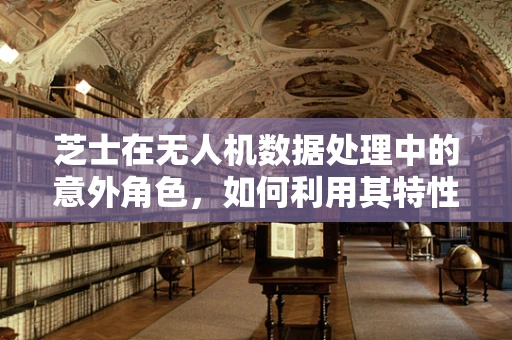 芝士在无人机数据处理中的意外角色，如何利用其特性优化图像识别？
