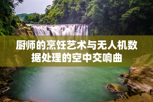厨师的烹饪艺术与无人机数据处理的空中交响曲