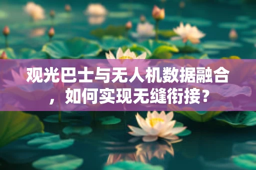 观光巴士与无人机数据融合，如何实现无缝衔接？