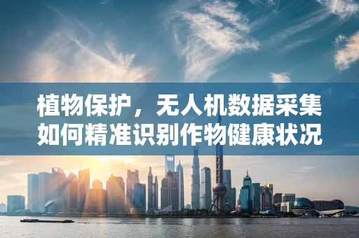 植物保护，无人机数据采集如何精准识别作物健康状况？