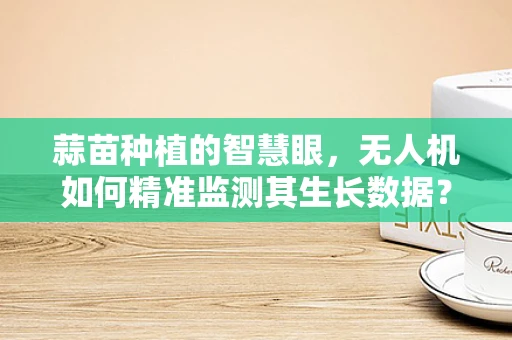 蒜苗种植的智慧眼，无人机如何精准监测其生长数据？