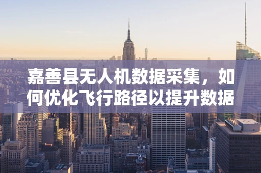 嘉善县无人机数据采集，如何优化飞行路径以提升数据质量？