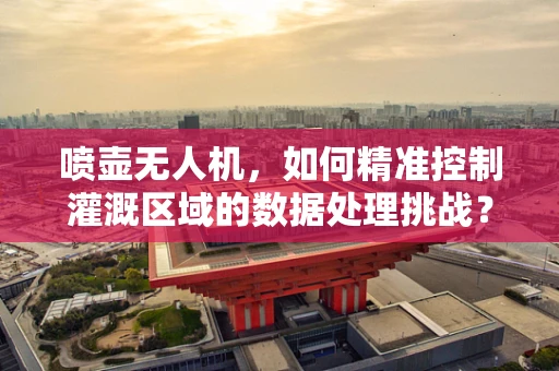 喷壶无人机，如何精准控制灌溉区域的数据处理挑战？