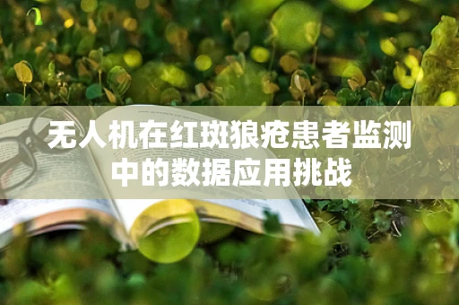 无人机在红斑狼疮患者监测中的数据应用挑战