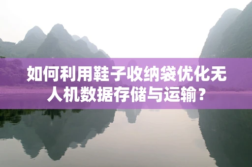 如何利用鞋子收纳袋优化无人机数据存储与运输？