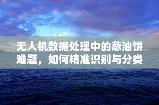 无人机数据处理中的葱油饼难题，如何精准识别与分类？