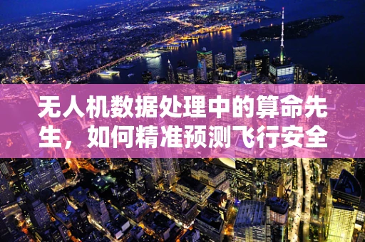 无人机数据处理中的算命先生，如何精准预测飞行安全？