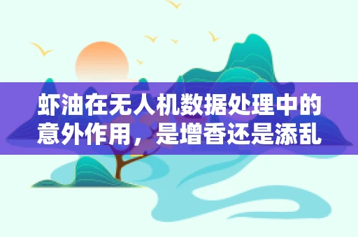 虾油在无人机数据处理中的意外作用，是增香还是添乱？
