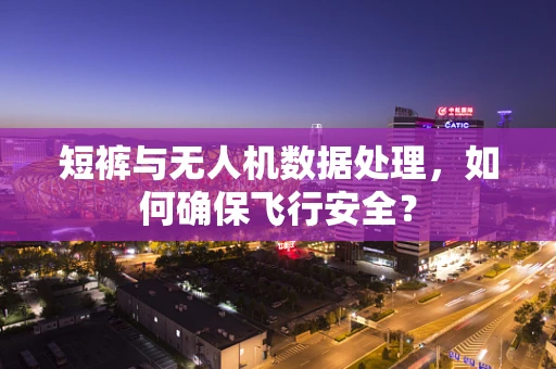 短裤与无人机数据处理，如何确保飞行安全？