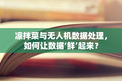 凉拌菜与无人机数据处理，如何让数据‘鲜’起来？