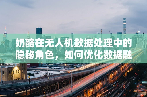 奶酪在无人机数据处理中的隐秘角色，如何优化数据融合与决策？