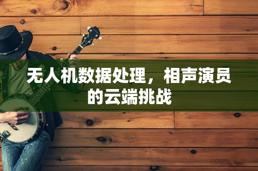 无人机数据处理，相声演员的云端挑战