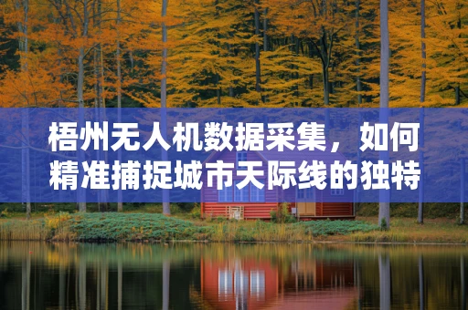梧州无人机数据采集，如何精准捕捉城市天际线的独特视角？