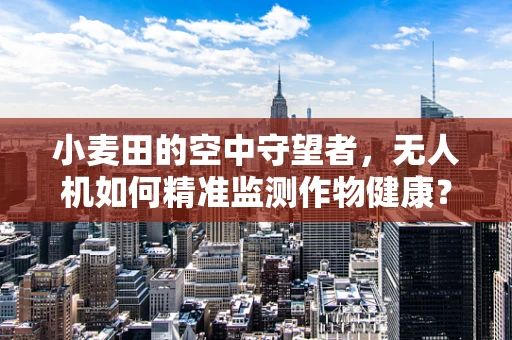 小麦田的空中守望者，无人机如何精准监测作物健康？