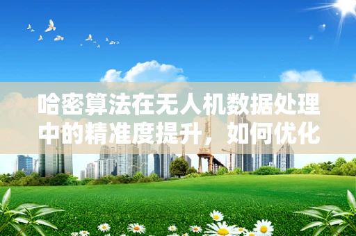 哈密算法在无人机数据处理中的精准度提升，如何优化以应对复杂环境？