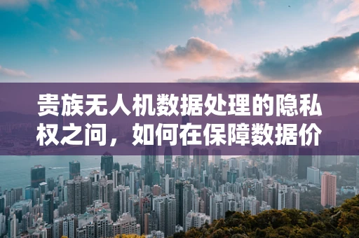 贵族无人机数据处理的隐私权之问，如何在保障数据价值的同时，保护用户隐私？