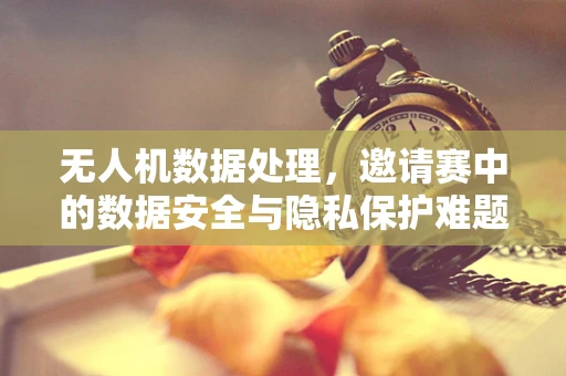 无人机数据处理，邀请赛中的数据安全与隐私保护难题
