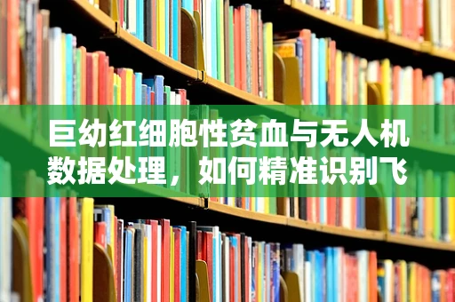 巨幼红细胞性贫血与无人机数据处理，如何精准识别飞行中的‘贫血’状态？