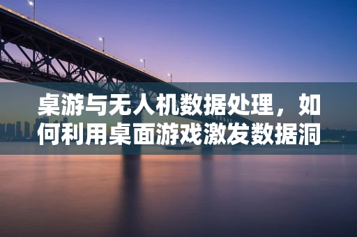 桌游与无人机数据处理，如何利用桌面游戏激发数据洞察力？