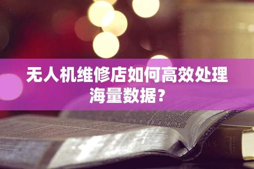 无人机维修店如何高效处理海量数据？