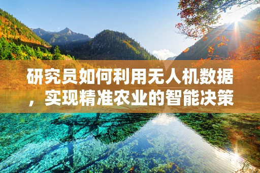 研究员如何利用无人机数据，实现精准农业的智能决策？
