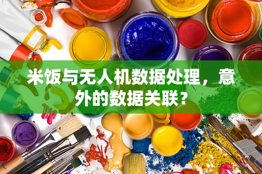 米饭与无人机数据处理，意外的数据关联？