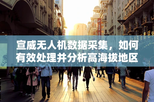 宣威无人机数据采集，如何有效处理并分析高海拔地区的影像信息？