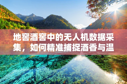 地窖酒窖中的无人机数据采集，如何精准捕捉酒香与温湿度的秘密？
