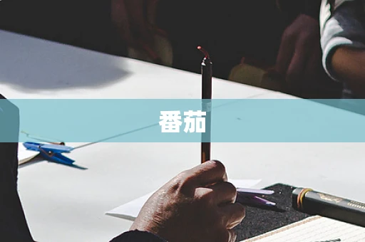 番茄