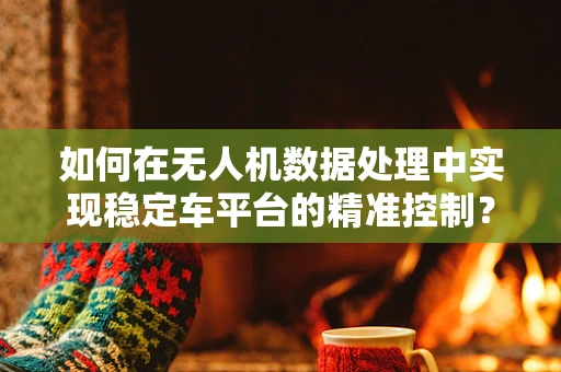 如何在无人机数据处理中实现稳定车平台的精准控制？
