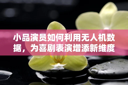 小品演员如何利用无人机数据，为喜剧表演增添新维度？
