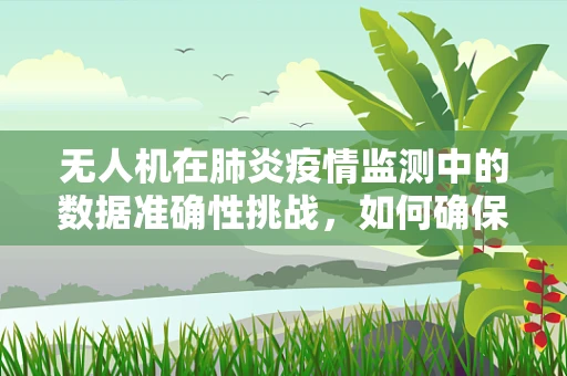 无人机在肺炎疫情监测中的数据准确性挑战，如何确保肺炎患者分布的精准识别？