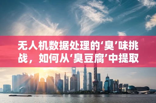 无人机数据处理的‘臭’味挑战，如何从‘臭豆腐’中提取关键信息？