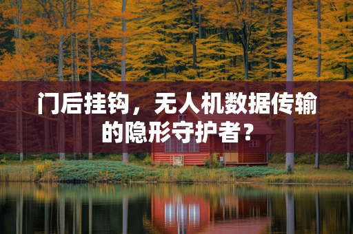 门后挂钩，无人机数据传输的隐形守护者？