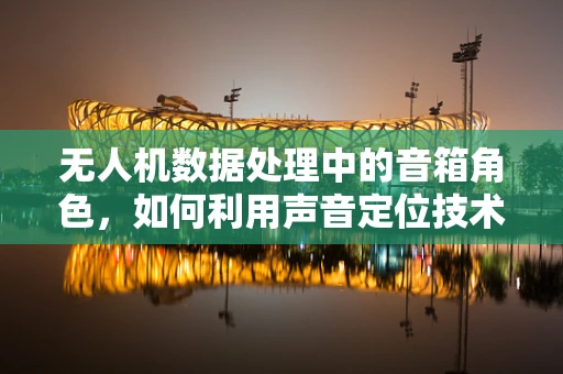 无人机数据处理中的音箱角色，如何利用声音定位技术优化飞行安全？