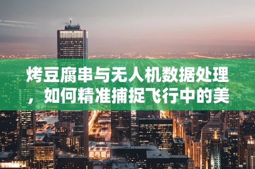 烤豆腐串与无人机数据处理，如何精准捕捉飞行中的美食诱惑？