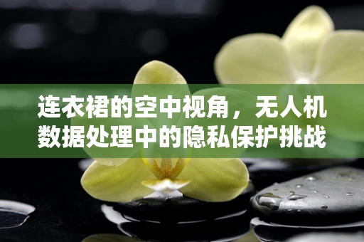 连衣裙的空中视角，无人机数据处理中的隐私保护挑战